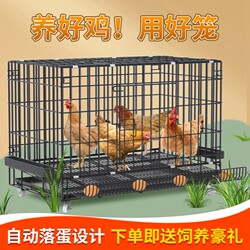 Extra-Large Outdoor Chicken Cage for Breeding, Automatic Manure Cleaning Chicken Coop, Household Chicken Cage, Multi-Layer Duck Cage, Dog Cage