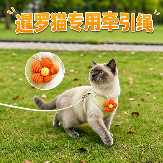 
Special kitten traction rope for Siamese cats, cat pet and kitten anti-breakaway harness, new traction cat rope