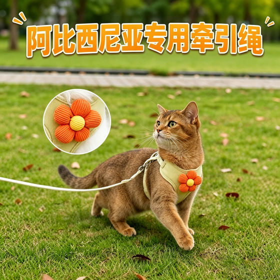 
Abyssinian special kitten traction rope cat pet kitten prevents breaking away when going out with cat rope