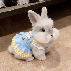 Rabbit Clothes Summer New Style Cartoon Leash Dress Dwarf Rabbit Angora Rabbit Anti-Shedding Breathable Cat Clothes