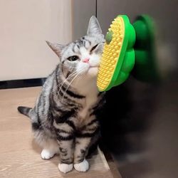 Cat Scratcher for Teeth Grinding and Cleaning, Pea-Shaped Corner Massager for Kittens and Young Cats, Self-Entertainment and Boredom-Relief Tool
