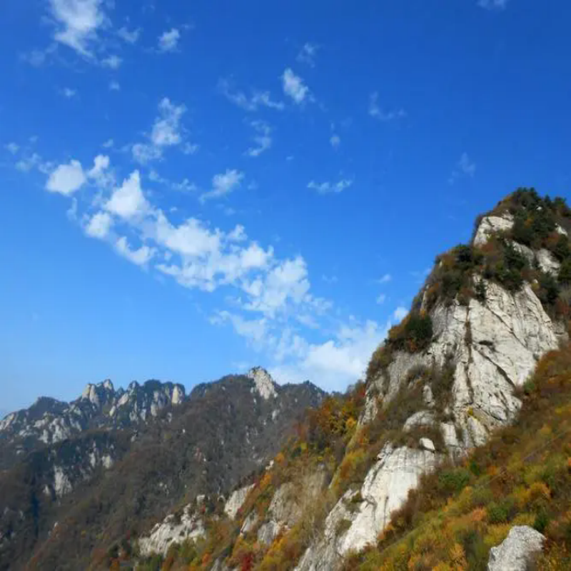 赏花春游好去处 翠华山景区纯玩1日跟团游 每周二四六日发团