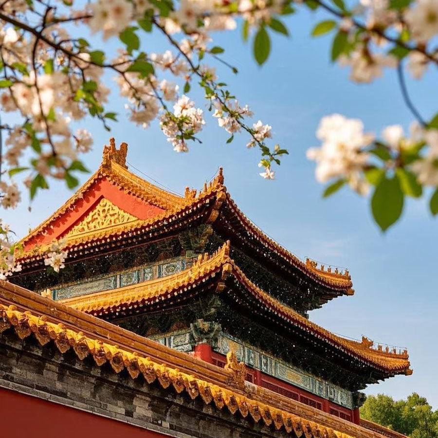 北京旅游故宫故宫博物院圆明园八达岭长城颐和园天安门升旗2日