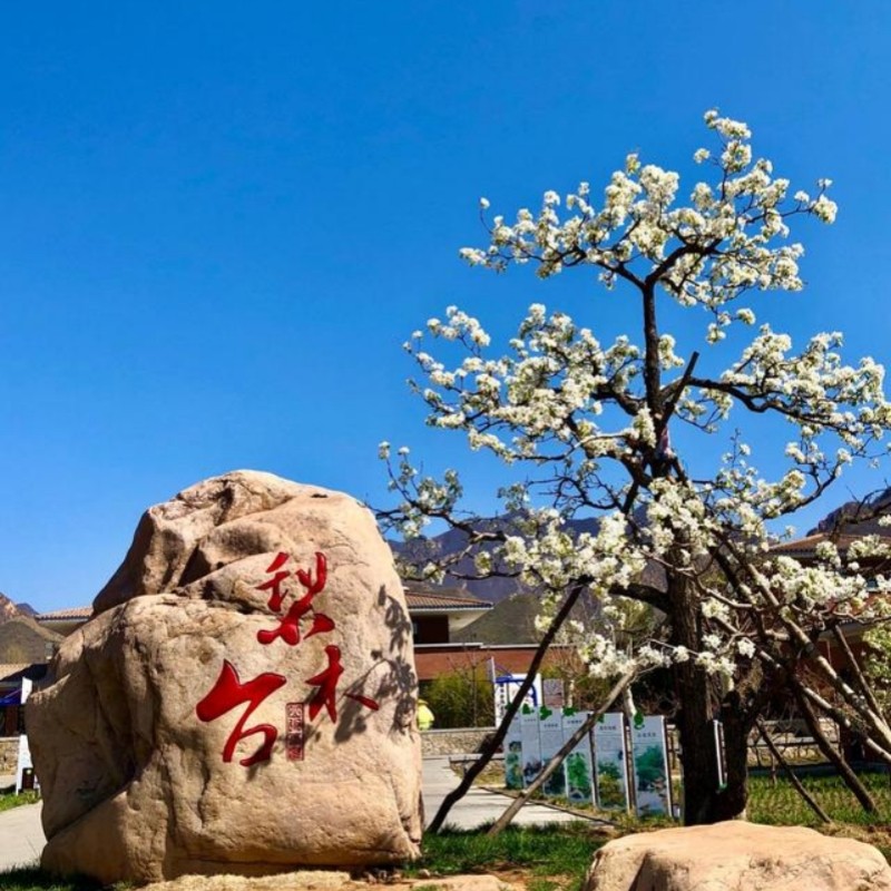 飞猪旅游天津旅游梨木台梨木台门票蓟州溶洞门票直通车跟团2日