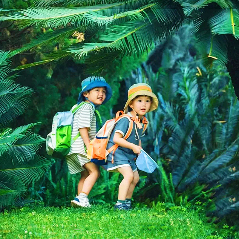 【亲子版纳】西双版纳亲子游5天4晚普洱小熊猫酒店雨林徒步采茶