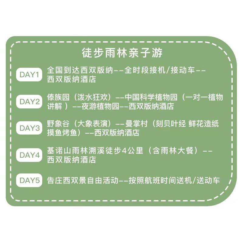 【亲子版纳】西双版纳亲子游5天4晚普洱小熊猫酒店雨林徒步采茶