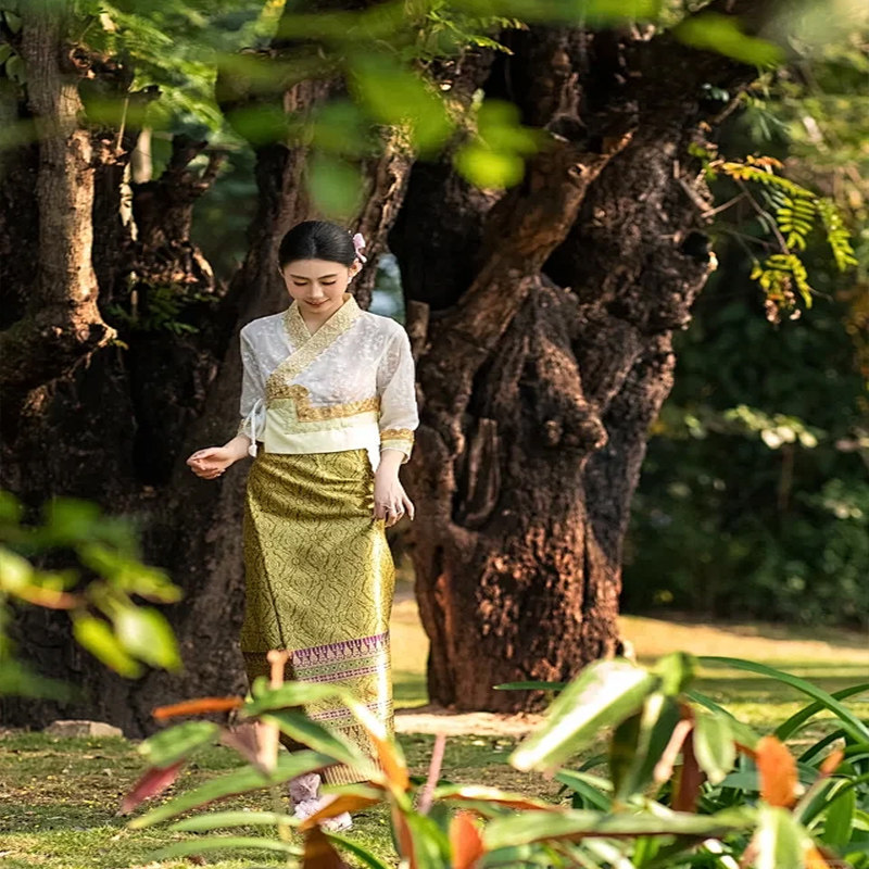 独立用车|雨林徒步|云南西双版纳旅游野象谷原始森林公园5天纯玩