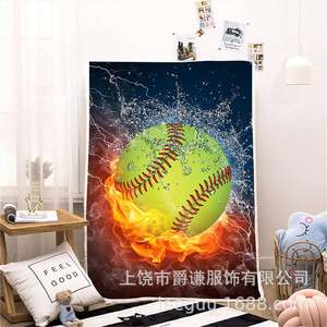 
Xian cross-border best-selling ball printed wool blanket double-layer thickened warm sleeping blanket WYP home sofa blanket office lunch room