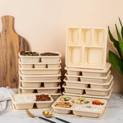 Disposable Lunch Box, Biodegradable Corn Starch, Microwaveable, Thickened Packaging Box, Fast Food Lunch Box, Multi-Compartment with Lid