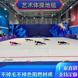 Rhythmic Gymnastics Carpet, Cheerleading Mat, Free Gymnastics Mat, Martial Arts Carpet, Opera Stage Mat, Practice Dance Carpet