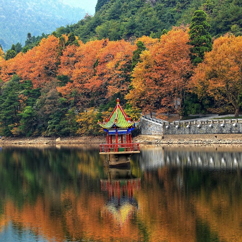 官方直营 | 庐山红枫雾凇景德镇三清山婺源篁岭夜游望仙谷6日5晚