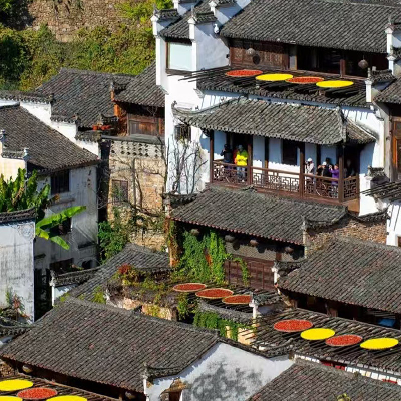 【官方直营】6天5晚庐山鄱阳湖景德镇婺源篁岭黄山宏村夜游婺女洲