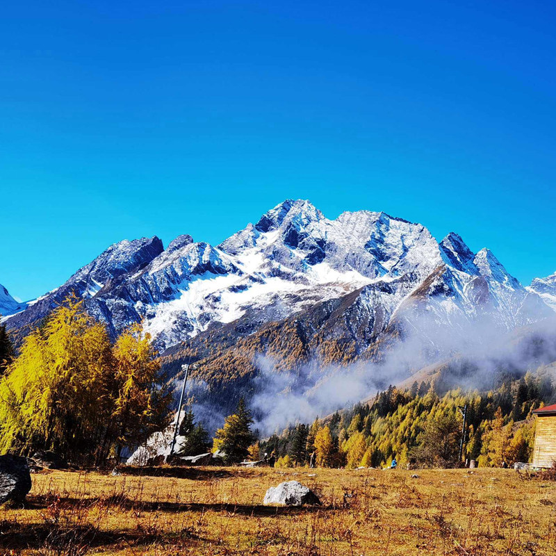 2-8人纯玩小团成都九寨沟黄龙四姑娘山熊猫都江堰4天3晚跟团旅游