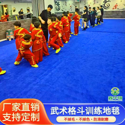 Martial Arts Carpet for National Competitions, Specialized for Sanda, Tai Chi, Gymnastics, Dance, Cheerleading, Training, and Competition, Non-Slip Carpet