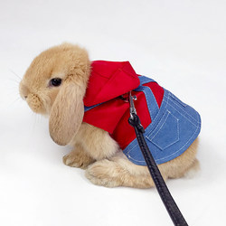 Pet rabbit clothing rabbit guinea pig lop-eared rabbit dwarf rabbit baby rabbit special clothing accessories rabbit leash