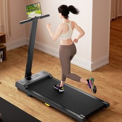 Treadmill Household Small Mini Adjustable Silent Climbing Weight Loss Walking Indoor Folding Aerobic Sports Fitness