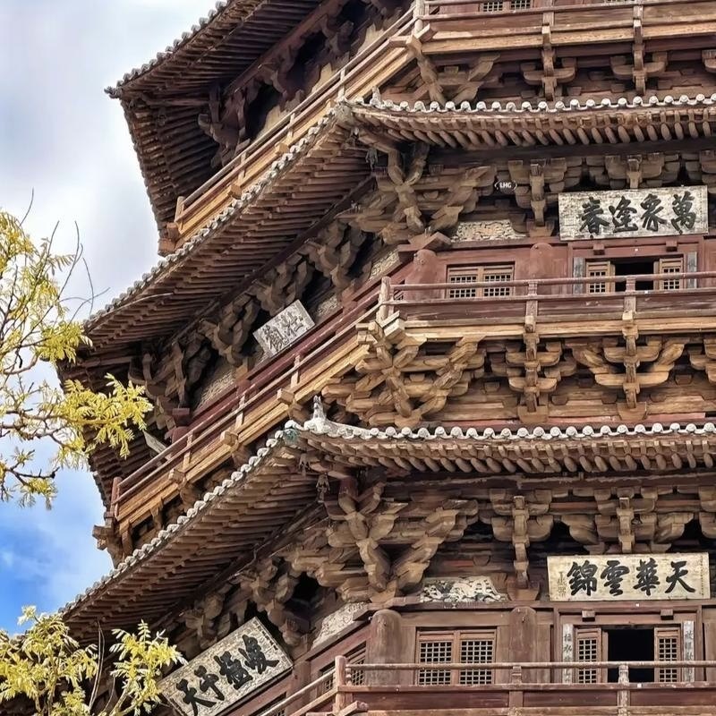 【BusGo】大同景区直通车古城云冈石窟应县木塔恒山悬空寺巴士