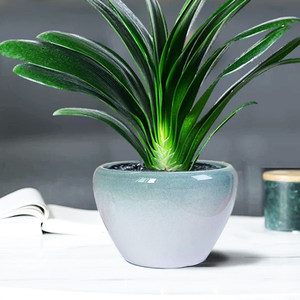 
Household simple creative ceramic flower pots special clearance indoor and outdoor Nordic style potted plants large diameter money tree living room