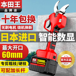 Electric Scissors, Rechargeable Powerful Garden and Fruit Tree Pruning Shears, Lithium Battery Tree Branch Cutter, Electric Pruner, Pruning Tool