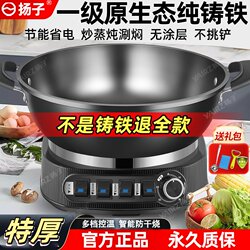 China Yangzi Group Electric Frying Pan for Home Use, Pure Cast Iron, Non-Coated, All-In-One Multifunctional Electric Cooking Pot and Electric Hot Pot