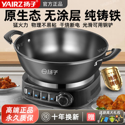 Yangzi Multifunctional Electric Frying Pan, Non-Coated Cast Iron Household Electric Hot Pot, Electric Pot for Steaming, Cooking, and Stewing, All-In-One Pot, Cooking Pot