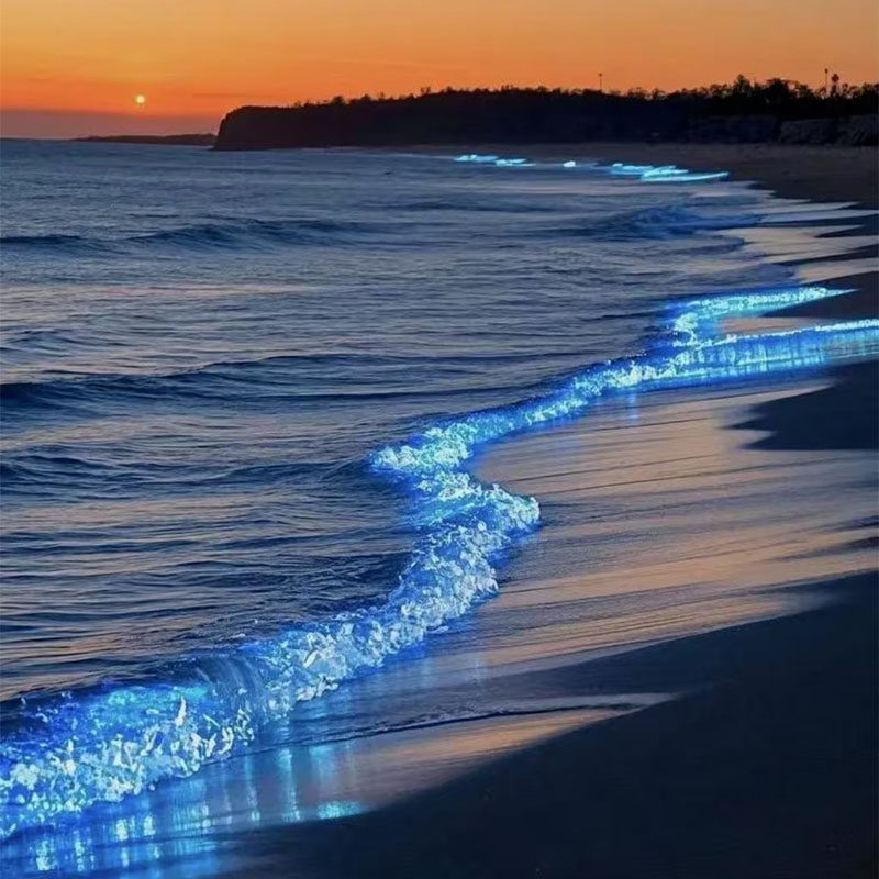 夜游平潭·蓝眼泪福州平潭岛追泪北部湾长江澳镜沙猴研岛一日游