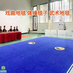 Martial Arts Carpet, Event Carpet, Opera Stage Carpet, Tai Chi Gym Professional Practice Mat, Martial Arts Routine Mat