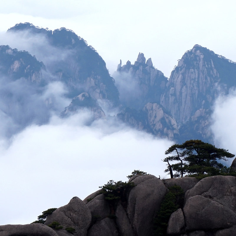 宏村黄山二日游16小团 2天1晚黄山精华走进百年宏村1对1管家服务
