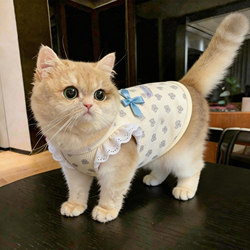 Cat Clothes, Kitten Anti-Shedding Summer Thin Vest, Anti-Cold German Cat Hairless Cat Pet Dog Clothes