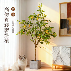 Fake Green Plant Lemon Tree Indoor Living Room Light Luxury Decorative Ornaments High-Quality Artificial Plant Floor-Standing Potted Plant Artificial Tree