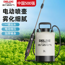Delixi Sprayer Electric Watering Can New Model Agricultural Pesticide Sprayer Household Small Pesticide Sprayer Rechargeable
