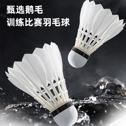 Authentic Badminton Shuttlecocks, Pack of 12, Durable, Black and White, for Outdoor Training and Competition, Wind-Resistant, Official Nylon Balls, Size 6