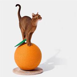 Orange Cat Scratching Board, Orange Cat Scratching Ball, Cherry Cat Scratching Board, Claw Sharpening Climbing Frame, Durable Toy for Self-Entertainment and Boredom Relief, Cute