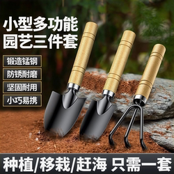 Mini Potted Plant Shovel Set for Gardening, Flower Planting, and Succulent Cultivation, Three-Piece Household Iron Shovel Set