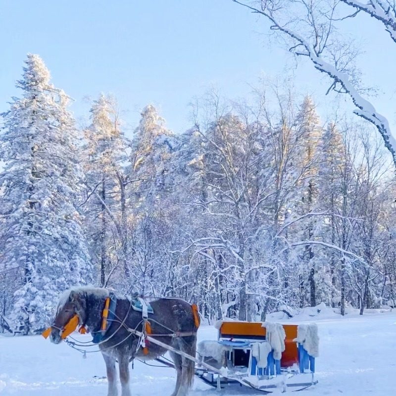 含机票 东北旅游长春长白山天池延吉万科滑雪5天4晚纯玩跟团2+1车