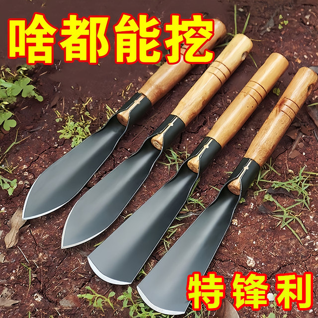 Small shovel with wild vegetables, digging amaranth, digging garlic, garlic, vegetable garden art, flower tools, weeding, digging grass plucking grass artifacts
