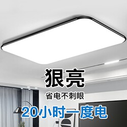 Changzhou Lighting Factory Direct Sales Led Modern Simple and Elegant Living Room Lamp Room Bedroom Hall Package Dining Room Lamp