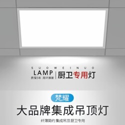 Zhongshan Lighting Factory Direct Sales Integrated Ceiling Led Lights for Kitchen, Bathroom, Toilet, and Restroom Ceiling Lights and Panel Lights