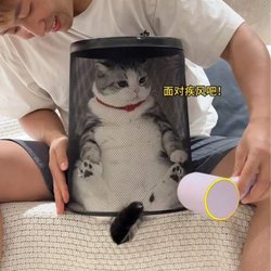 Cat drying box flat household pet blow dryer cat bathing and blow drying artifact anti-scratch biting artifact