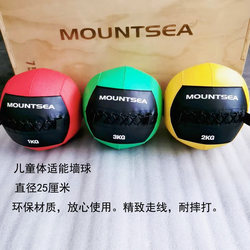 Fitness Wall Ball Children's Physical Fitness Soft Medicine Ball Physical Training Explosive Power Balance 1 2 3kg