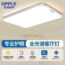 Op Lighting Led Ceiling Lamp, Simple and Modern, Living Room Lighting, Dining Room, Study, Hallway, Balcony, Room, Bedroom Lamp