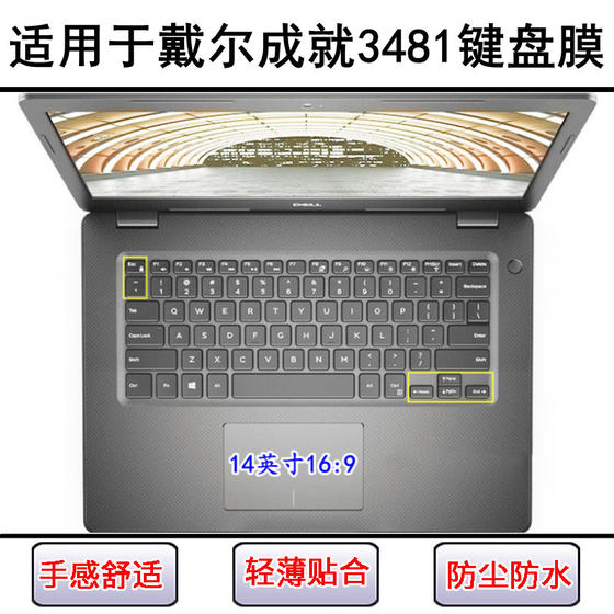 Applicable to Dell Achievement 3481 keyboard protective film 14-inch laptop cute cartoon dustproof waterproof color painting