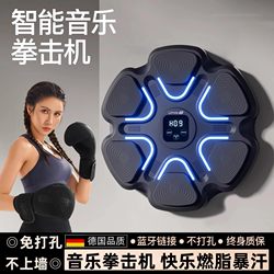 German Smart Music Boxing Machine Electronic Wall Target for Adults and Children Indoor Reaction Boxing Target Boy's Birthday Gift