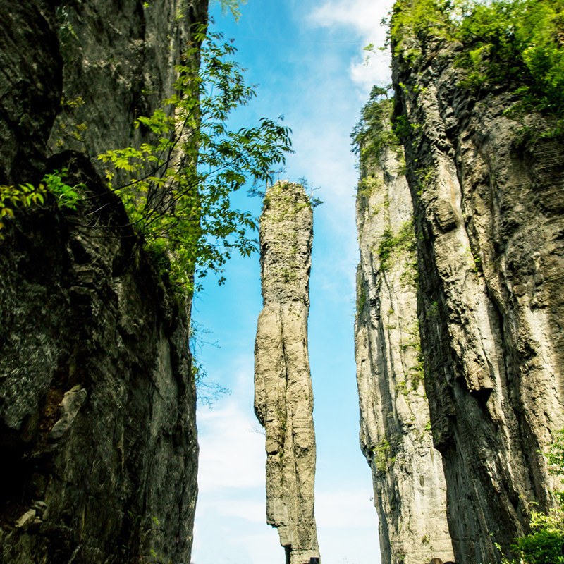 湖北旅游6日游 宜昌两坝一峡恩施大峡谷神农架神农顶纯玩跟团六日