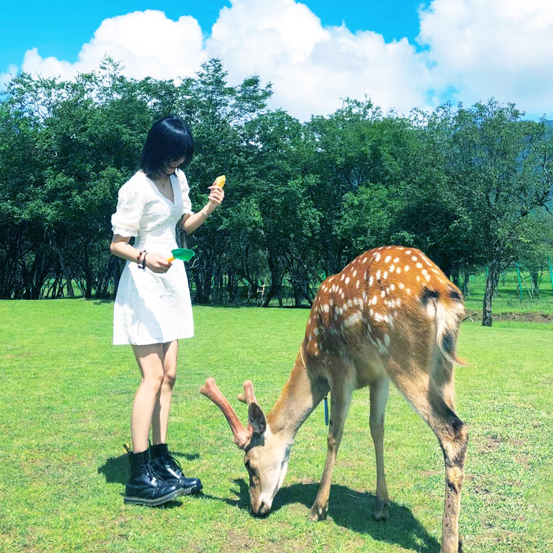 宜昌神农架旅游5日游 神农架大九湖宜昌三峡大坝人家清江纯玩五日