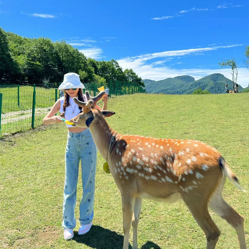 宜昌神农架大九湖旅游4日游 宜昌三峡大坝人家两坝清江画廊四日游