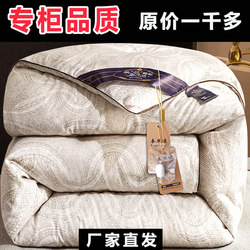 Thickened Quilt, Winter Quilt, Warm Silk Cotton Quilt Core, Spring, Autumn, and Winter Models, Space Quilt, Cotton Batting, Double Size, Winter 5kg Special Offer
