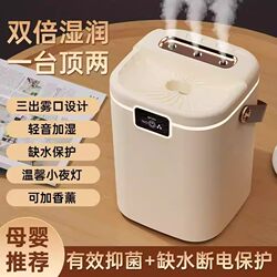 USB Humidifier for Bedroom, Home Use, Silent, Suitable for Pregnant Women and Babies, Purifies Air, Small Size, Large Mist Output, Constant Humidity, Aromatherapy