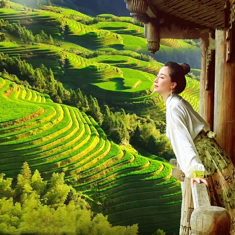 【住龙脊800米吊脚楼】广西桂林阳朔旅游4天3晚跟团游漓江四日游