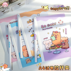 A4 Rotating Lever Clip File Folder, Semi-Transparent Test Paper Folder, Special A4 Paper Lever Clip for Primary School Students, First-Grade Storage Clip, Paper Organizer and Storage Tool